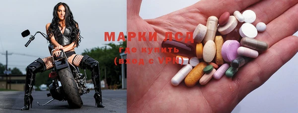 стаф Дмитров