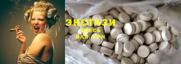 стаф Дмитров