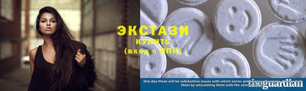 стаф Дмитров