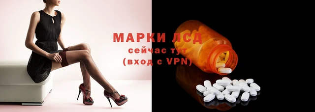 сатива Дмитровск